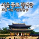 진선종합공사 | 세계문화유산 창덕궁 입장료 무료입장 팁 후원 예약 11월 서울 가볼만한곳