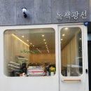 서초 남부터미널 카페 녹색광선 마들렌 후기