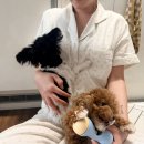 진주환경(유) 노동조합 | · 사진일기 : 2025년 마무리하며 Photo dumps..📷🩵