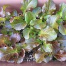 무한대태양광발전소 이미지