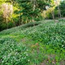 명이농장 이미지