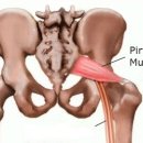 머슬핫바디 이미지