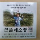 하늘뜰 농장 이미지