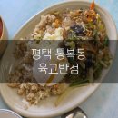 육교이동탕수육 | 평택 맛집 | 통복동 노포 감성 현지인 추천 옛날탕수육 육교반점