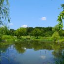 자연마당 이미지