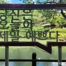 스카이로드 이미지