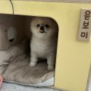 미본헤어 - 포항시 북구 | 미본헤어