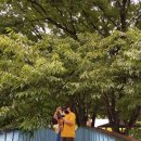 물야초등학교 개단분교장 이미지