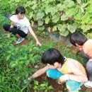 경규농장 이미지