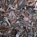 임원2리마을회관 이미지