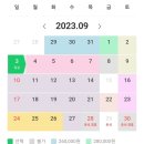 연인들의사랑이야기풀빌라