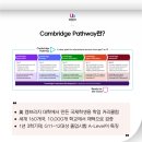 그리넬 | 케임브리지 교육과정이 있는 캐나다 토론토 사립학교, 필드스톤 킹스 컬리지로 조기유학
