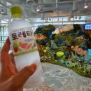 홍대입구역 4번 출구, CGV 앞 이미지