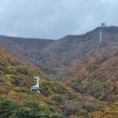 울산 여행 후기입니다. 이미지