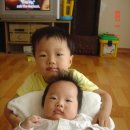 호돌이비디오 이미지