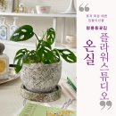 온실플라워스튜디오