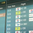 애니원코리아 | 2024 / 발리 여행 기록 1탄 (공항-바투르산 지프투어-더 카욘 정글 리조트)