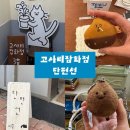 웅진로 | 공주에서 만난 귀여운 소품들! 고사리잡화점과 단편선 후기