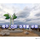 신창싱계물 이미지