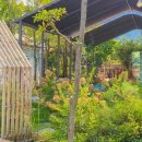 멍스쿠킹 이미지