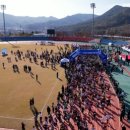 고창공설운동장 이미지