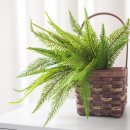 솔향인테리어 이미지