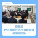함현중학교 | [옐레드] 반려동물 전문가 직업체험 in 시흥 함현중학교
