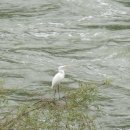 로하스 해피로드 이미지