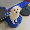 하울팟 위례점 이미지