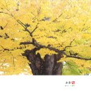 연풍초등학교 이미지