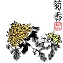 다 향
