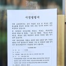 시내유치원 이미지
