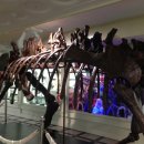 중원대학교 박물관 이미지