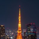 청아외국어학원 | [일산일본어학원] 일산 호수공원 피크닉 갈 때 들으면 좋은 일본 시티팝 가사 속 일상 회화 표현 🎧🌸