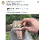 부서마다 이렇게 업무분장 때 기피업무를 겸허히 받아들이시는 분들이 있음.twt 이미지