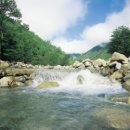 지리산,설악산,덕유산,오대산,월악산 국립공원 야영장모음 이미지