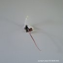 탑마을주공8단지 이미지