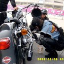 드비취이 이미지