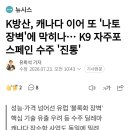 K방산, 캐나다 이어 또 나토 장벽에 막히나...K9 자주포 스페인 수주 진통 이미지