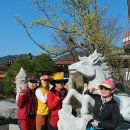 매화랜드 이미지