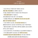 하다스튜디오 이미지