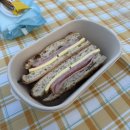 보헤미안 | 2025 세종 보헤미안 뮤직페스티벌 관람 후기