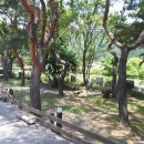 소나무정원 이미지