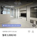 동양화노래클럽 | 여름 코코아 겨울 수박도