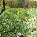 장수천공원 이미지