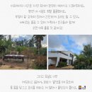 제주하와이 덕수궁 이미지