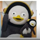 (주)드림리더 이미지