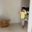 리틀팍스안산 | [리틀팍스 후기] 일주일 후기 -영유아 영어컨텐츠