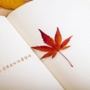 무지개언덕 이미지