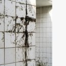 클린앤클린 | 화장실 타일 청소 하는법 오늘앤 올클린세정제 사용 후기